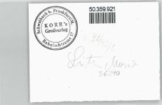 56290 W5449 Lütz - Foto-Karte