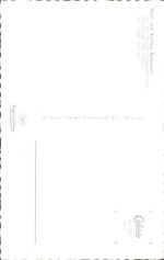 72270 W7292 Ruhestein