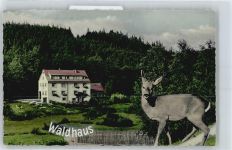 63875 W8751 Hessenthal - Gaststätte, Pension Waldhaus