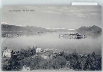 28838 Stresa - See