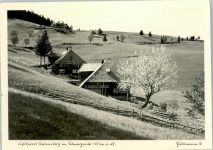 79674 W7868 Todtnauberg