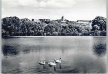 06542 O4702 Allstedt - Schloß, Schwan