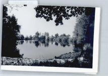 38154 W3308 Rieseberg FOTO KEINE AK Foto mit Negativ