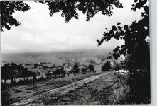 32312 W4990 Nettelstedt , Kr Lübbecke, Westf - Gesamtansicht