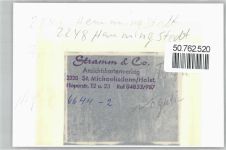 25770 W2248 Hemmingstedt FOTO KEINE AK Foto mit Negativ, Kirche