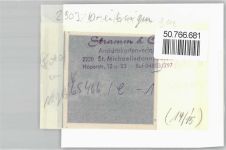 26160 W2903 Dreibergen FOTO KEINE AK Foto mit Negativ
