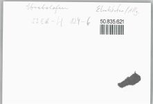 88167 W8999 Ebratshofen - Foto