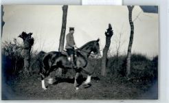 06333 O4271 Meisdorf - Soldat zu Pferd . Foto-Karte