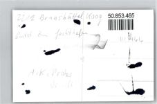 25541 W2212 Brunsbüttelkoog - Gaststätte Zum Jachthafen