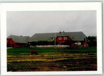 25863 W2251 Langeneß FOTO KEINE AK Hunnenwarft