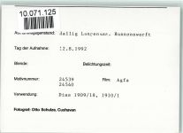 25863 W2251 Langeneß FOTO KEINE AK Hunnenwarft