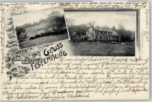38678 W3392 Festenburg - Forsthaus verziert