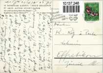 Der erfallene König Albert der Belgier , engelhörner, Berner Oberland Bergsteiger 1957 Gebrauchsspuren