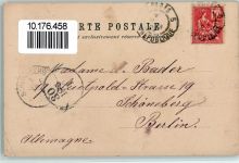 Strauch AK Flieder 1903