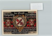06618 O4800 Naumburg (Saale) - Notgeld Scherenschnitt Kirschen