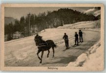 Skikjöring - AK Ski 1914