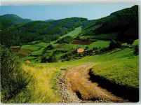 79215 W7807 Elzach - Landwassereck