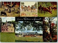 63879 W8751 Rohrbrunn - Rückseite mit Abschürfungen bzw Kleberesten Wildpark