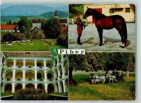 8572 Piber - Barockschloss Staatsgestüt Lipizzianer