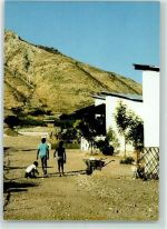 Palmari