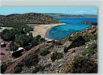 Der Strand von Vai der Palmenald