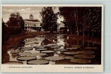 Bogor Buitenzorg 1925 - Botanical Gardens