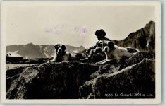 St. Gottardo Schweiz AK Bernhardiner 1916 Gebrauchsspuren