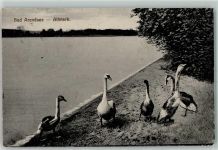 39619 O3552 Arendsee Altmark