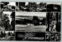 95615 W8590 Marktredwitz - Steinwald Burgruine Weißenstein Bergkirche Wäldern Reisenegerfelsen