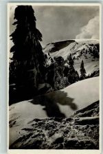 79868 W7828 Herzogenhorn , Schwarzwald - Winter