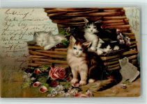 Drei Kätzchen AK Katze 1901 Lithographie