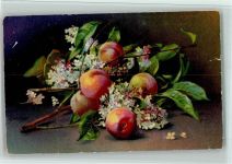 Nr. 953 - Wenau Delila - Früchte, Blüten AK Wenau