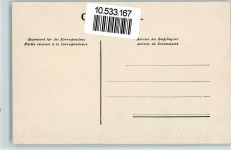 Bern Berne Ernst Selhofer Nr. 80 , sehr gute Erhaltung AK Bär