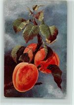 Verlag BKW Serie 757-6 Pfirsiche ca 1905 AK Frucht, Gemüse Künstlerkarte