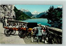 Nr. 201 Photoglob Wehrli - St. Bernhard Zwinger - Welpen und Kinder Bernhardiner Fotomontage AK