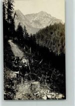 83278 W8220 Traunstein , Oberbay - 1914 Bergtransport mit Eseln Prägestempel A, Grainer