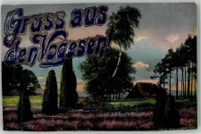 Gruss aus den Vogesen mit Glimmer/Glitzerauflage Heidelandschaft Motiv Frankreich 1919