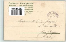 Serie Engel Margeriten Blüten zupfen AK Amor 1905 Prägedruck