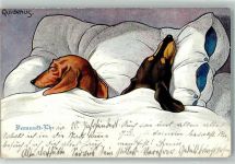 Dackel Vernunft Ehe Humor Quidenus, F. 1912