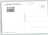 W7868 Todtnauberg Schlepplift Sessellift Foto AK