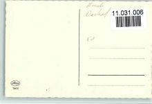 Amag 70836 Treuer Begleiter - Foto AK Dackel