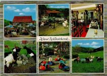 69253 W6901 Lampenhain - Haus Weinschenk Terrasse Innenaufnahme Gastraum Kinderspielplatz Karussell Ziegen Pony Mehrfachaufnahme