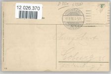 W8500 Nürnberg Gänse Maennchen 1906 AK Velten Nr. 112 - Mutter, K. Künstlerkarte