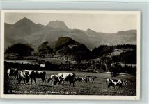Le Chatelet Orsieres Au Paturage Gruyères Kuh