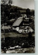 Fluß Schwarzwaldhaus