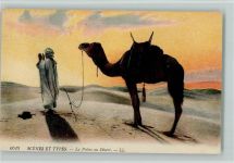 Scenes et Types - Gebet zu Allah, Kamel ca 1925 AK Arab. Volkstyp