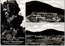 94253 W8379 Bischofsmais - Teufelstisch Hotel Wastlsäge Gesamtansicht 3-Bildaufnahme