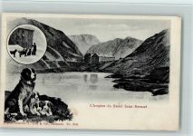 Bourg-St-Pierre L hospice du Grand Saint Bernard,Verlag Trüb Nr. 2041, gute Erhaltung AK Bernhardiner 1908