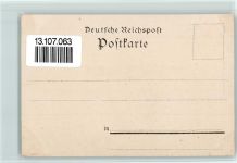 W3000 Hannover Welfenschloss Burg / Schloss Lithographie