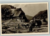 Heuernte im Schwarzwald, Bauern Moralt, W. Künstlerkarte